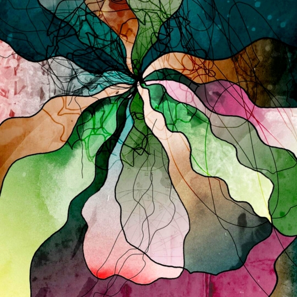 Meet your Posher, Cece - Picture 1 of 1